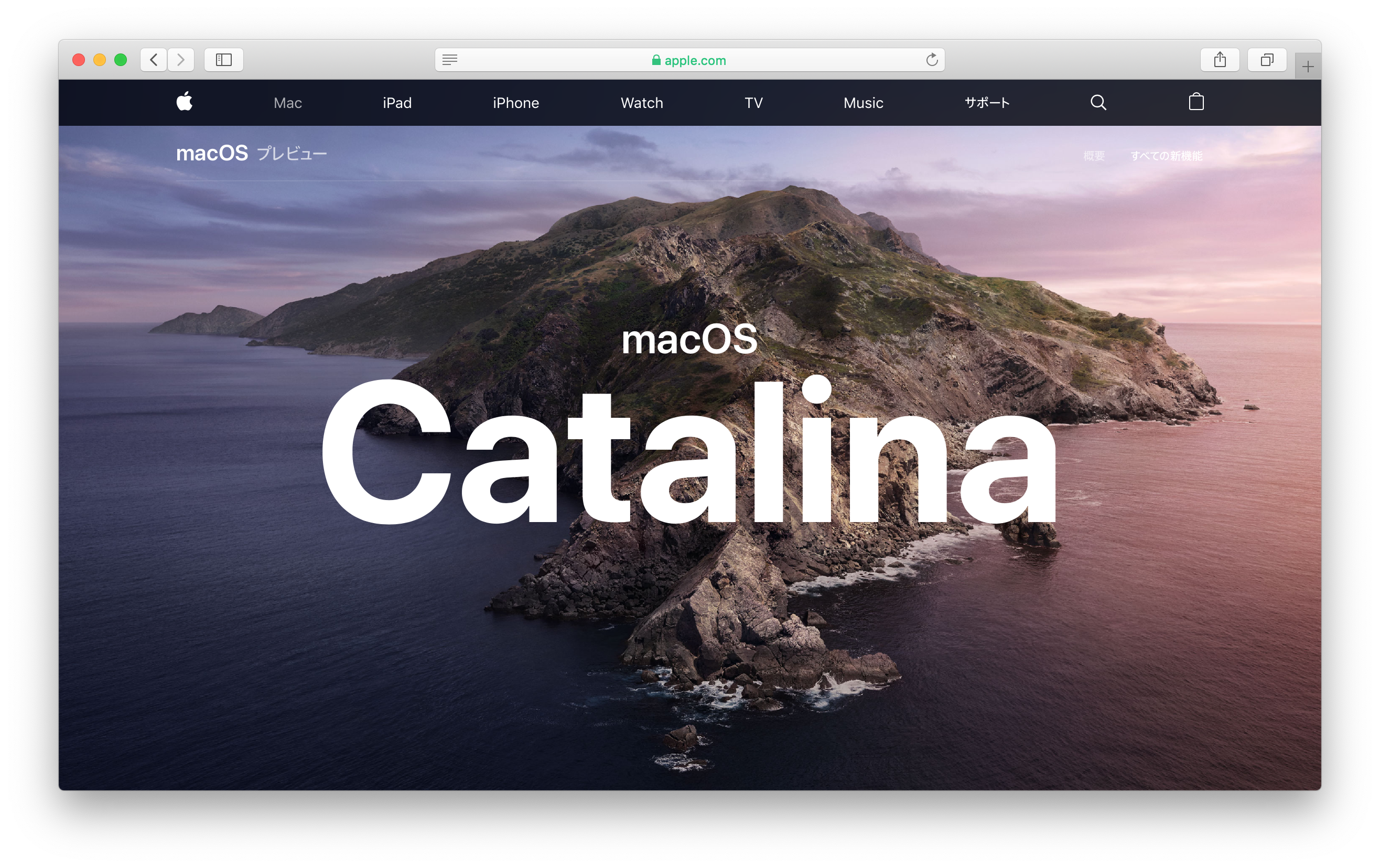 Macos Catalina のクリーンインストール方法