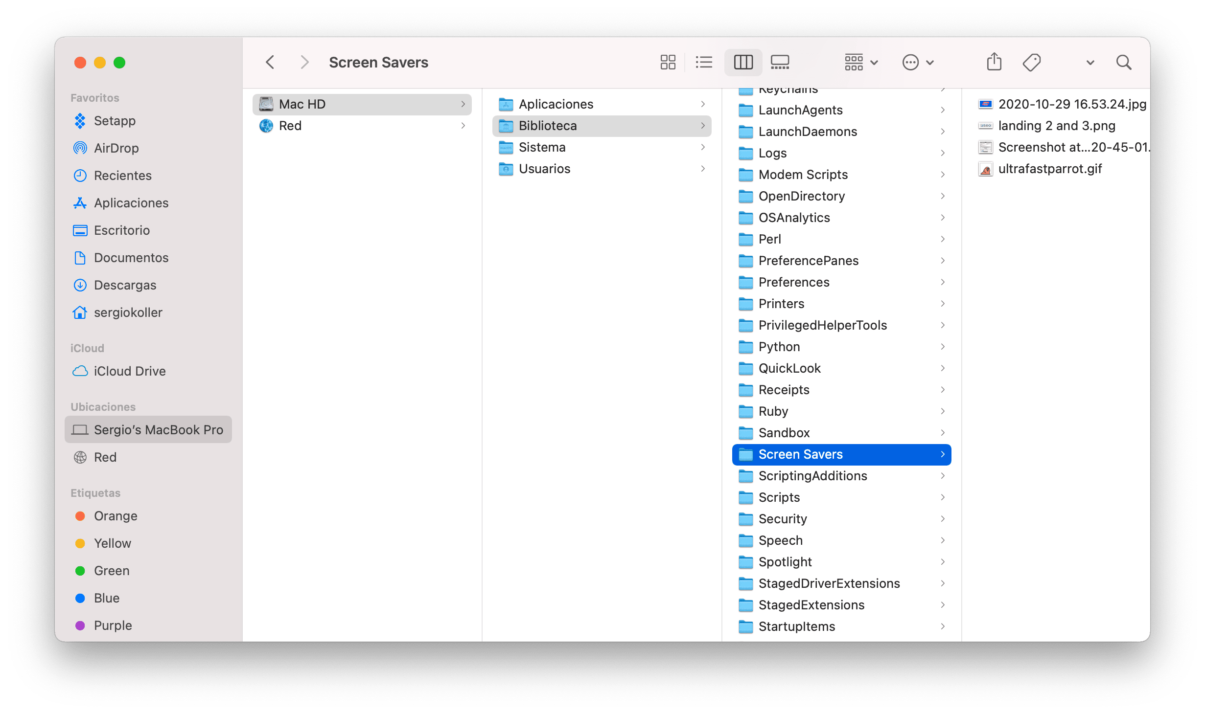 referir lento picnic Cómo borrar Otro almacenamiento en Mac: 8 trucos que funcionan