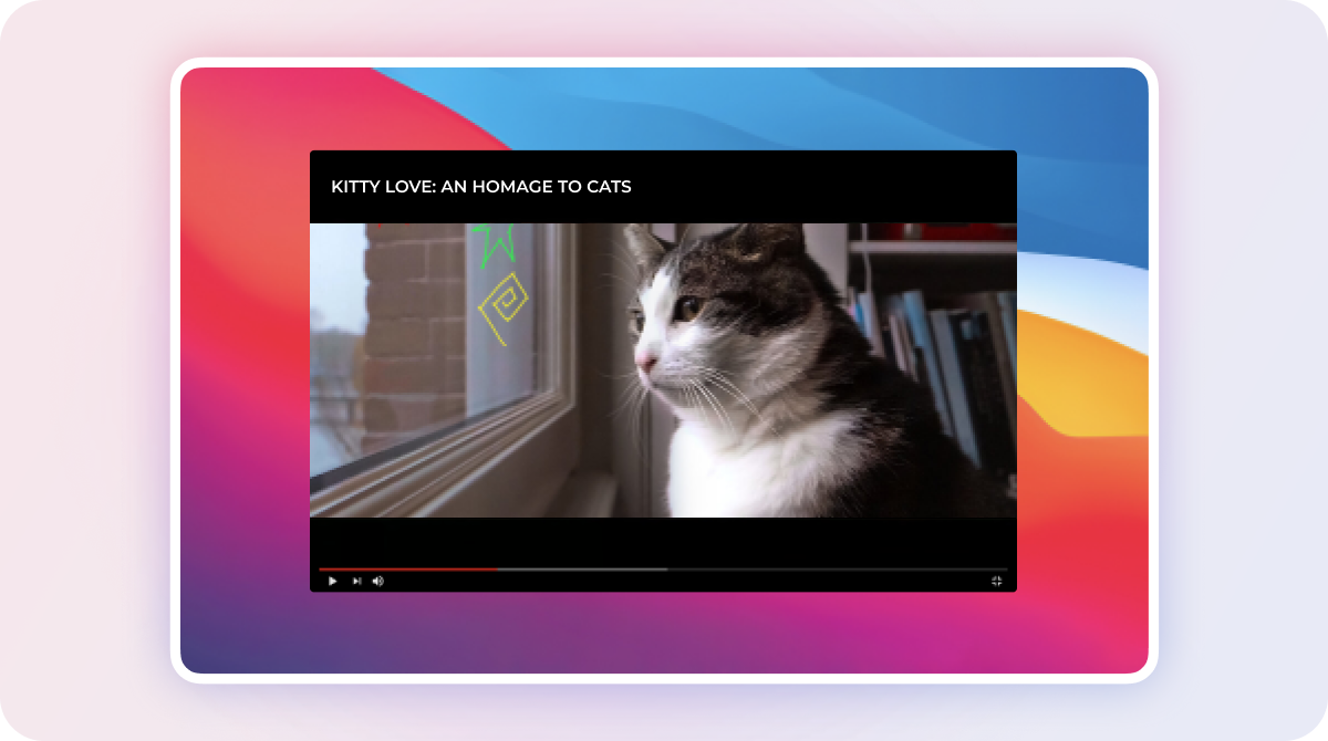 What to Watch on Netflix - Kitty Love
