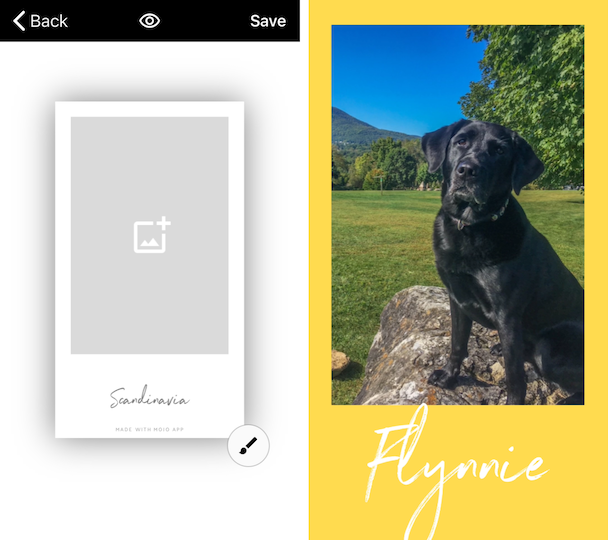 Screenshots of Mojo, the best Instagram Stories video editor Screenshots of Mojo, the best Instagram Stories video editor