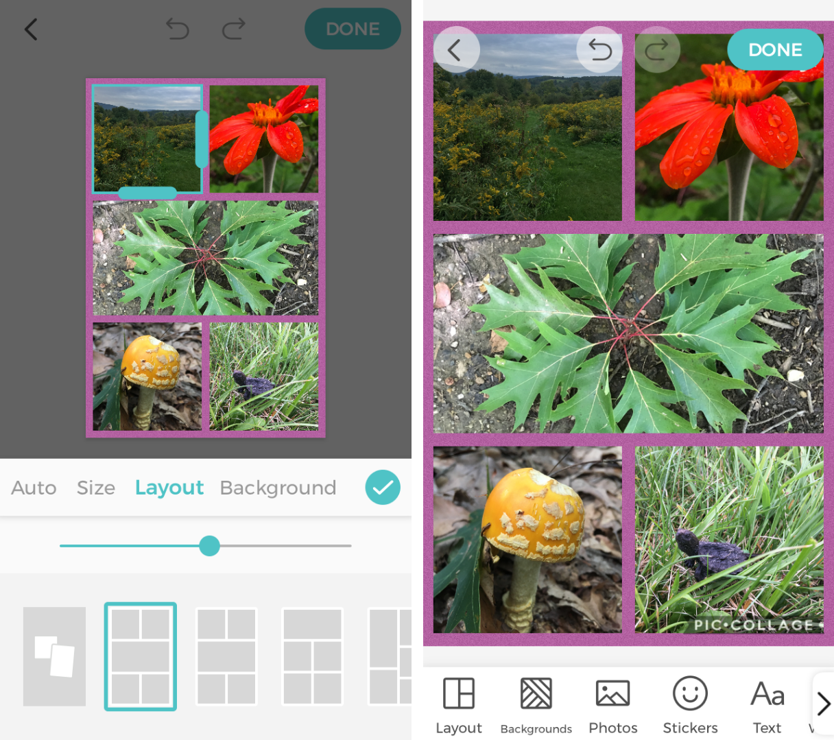 كيفية عمل ملصقة صور على iPhone