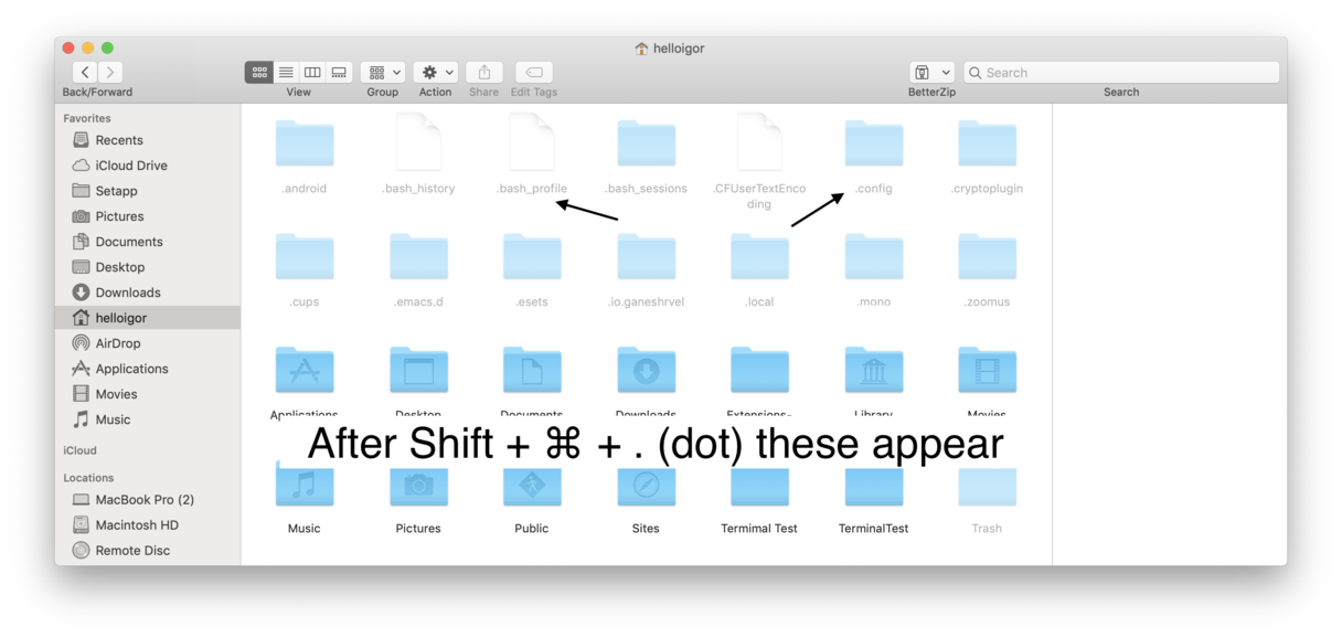 export list of files ina folder mac terminal