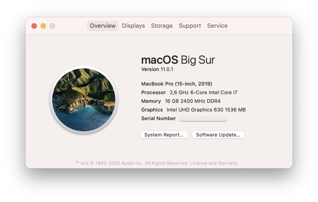 download google chrome for mac os big sur