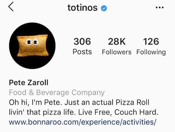 funny instagram bios