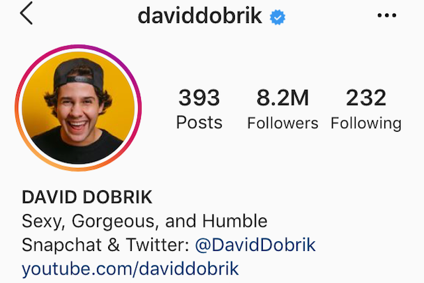 أمثلة بيولوجية IG: مضحك Instagram السيرة الذاتيةdaviddobrik