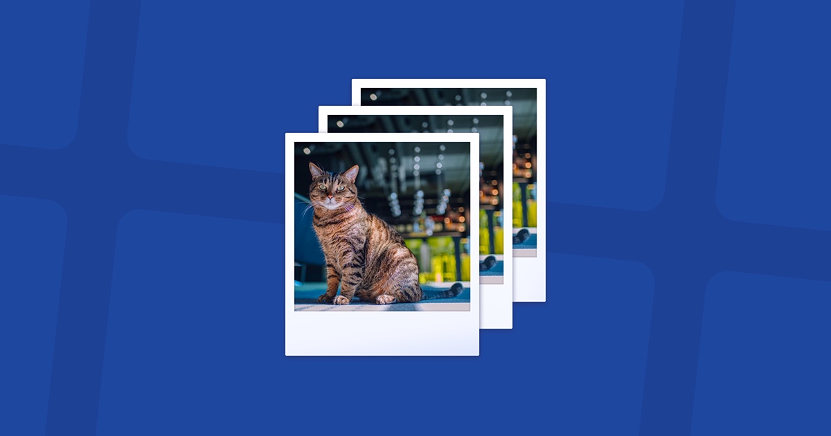 best app to delete duplicate photos on mac best app to delete duplicate photos on mac