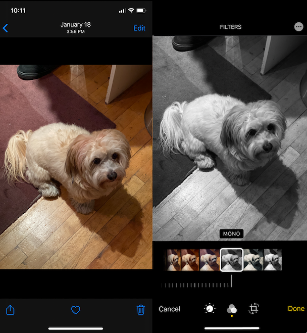 best app to find duplicate photos on iphone