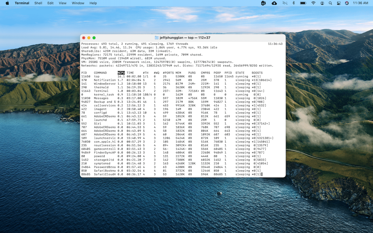 How to kill background processes on Mac