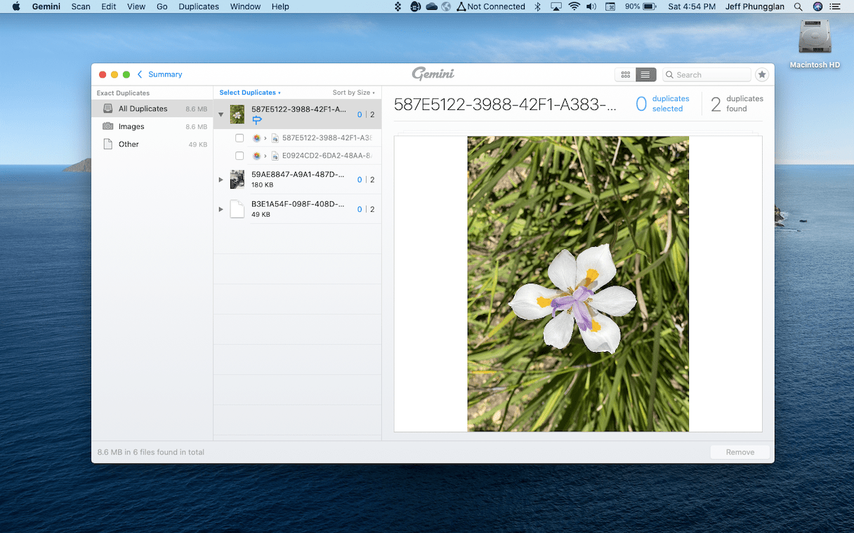 how to remove duplicate photos in iphoto