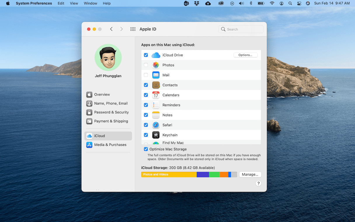 iCloud system preferences