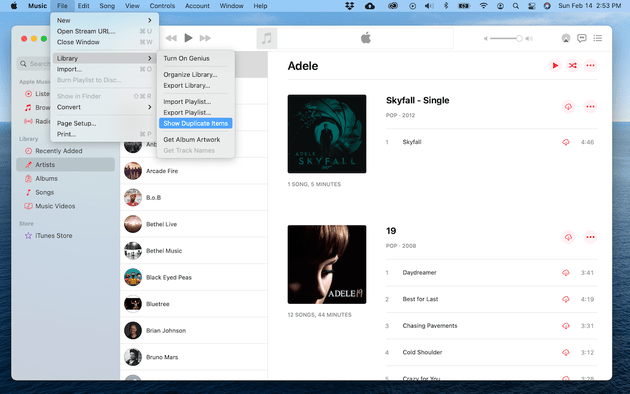 How to show duplicates in iTunes